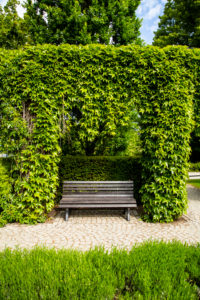 Europe, Poland, Lower Silesia, Wroclaw - Park Poludniowy Europe, Poland, Lower Silesia, Wroclaw - Park Poludniowy