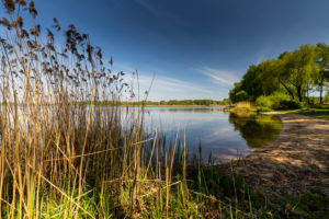 Europe, Poland, Silesian Voivodeship, Pogoria lakes - Dabrowa Gornicza Europe, Poland, Silesian Voivodeship, Pogoria lakes - Dabrowa Gornicza