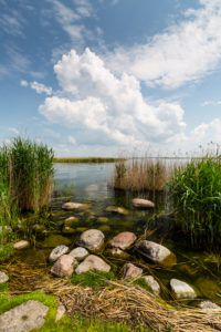 Europe, Poland, Voivodeship Warmian-Masurian, The Land of the Great Masurian Lakes - Sniardwy / Spirdingsee - Popielno Europe, Poland, Voivodeship Warmian-Masurian, The Land of the Great Masurian Lakes - Sniardwy / Spirdingsee - Popielno