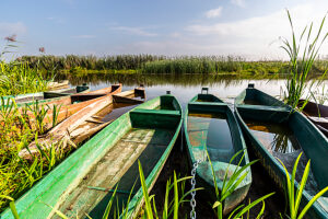 Europe, Poland, Podlaskie Voivodeship, Narew National Park, Waniewo Europe, Poland, Podlaskie Voivodeship, Narew National Park, Waniewo