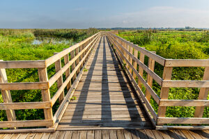 Europe, Poland, Podlaskie Voivodeship, Narew National Park, Waniewo Europe, Poland, Podlaskie Voivodeship, Narew National Park, Waniewo