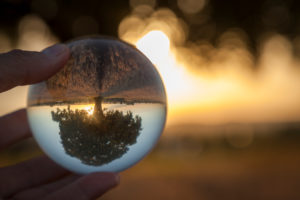 Germany, Bavaria, solitary tree in the evening light reflected upside down in glass ball Germany, Bavaria, solitary tree in the evening light reflected upside down in glass ball