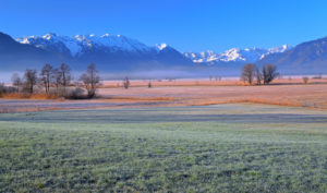 Moorland Murnauer Moos in early spring against Ester mountains 2086m and Wetterstein mountains with Zugspitze 2962m, Murnau, Blaues Land, Oberbayern, Bavaria, Germany Moorland Murnauer Moos in early spring against Ester mountains 2086m and Wetterstein mountains with Zugspitze 2962m, Murnau, Blaues Land, Oberbayern, Bavaria, Germany