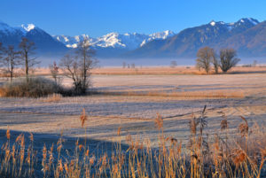 Moorland Murnauer Moos in early spring against Ester mountains 2086m and Wetterstein mountains with Zugspitze 2962m, Murnau, Blaues Land, Oberbayern, Bavaria, Germany Moorland Murnauer Moos in early spring against Ester mountains 2086m and Wetterstein mountains with Zugspitze 2962m, Murnau, Blaues Land, Oberbayern, Bavaria, Germany