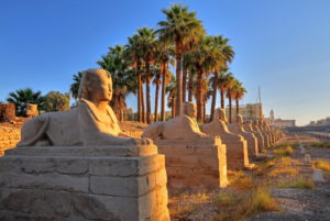 Alley of sphinxes at the temple of Luxor, Luxor, Upper Egypt, Egypt Alley of sphinxes at the temple of Luxor, Luxor, Upper Egypt, Egypt