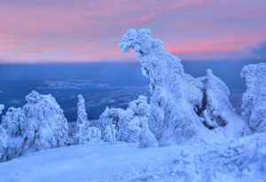 Winter landscape with icy trees at Brocken, Wernigerode, Harz Nature Park, Saxony-Anhalt, Germany Winter landscape with icy trees at Brocken, Wernigerode, Harz Nature Park, Saxony-Anhalt, Germany