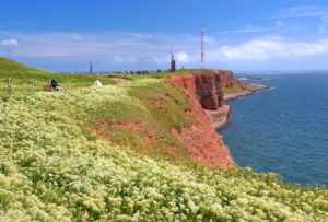 Northwest cliff with lighthouse and transmission tower on the Oberland, Heligoland, Heligoland Bay, German Bight, North Sea island, North Sea, Schleswig-Holstein, Germany Northwest cliff with lighthouse and transmission tower on the Oberland, Heligoland, Heligoland Bay, German Bight, North Sea island, North Sea, Schleswig-Holstein, Germany
