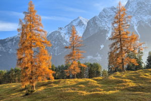 Autumn landscape at the Höhenrain path against Zugspitz mountains (2962m), Grainau, Wetterstein Mountains, Werdenfelser Land, Upper Bavaria, Bavaria, Germany Autumn landscape at the Höhenrain path against Zugspitz mountains (2962m), Grainau, Wetterstein Mountains, Werdenfelser Land, Upper Bavaria, Bavaria, Germany