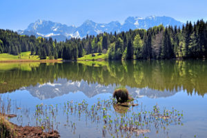 Geroldsee ( Wagenbrüchsee ) beim Weiler Gerold im Frühling gegen Karwendelgebirge, Krün, Werdenfelser Land, Oberbayern, Bayern, Deutschland Geroldsee ( Wagenbrüchsee ) beim Weiler Gerold im Frühling gegen Karwendelgebirge, Krün, Werdenfelser Land, Oberbayern, Bayern, Deutschland