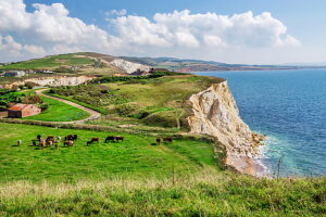 Hilly land with cliffs at Freshwater Bay, Freshwater, Isle of Wight, Hampshire, Great Britain, England