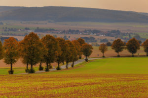 Autumn mood near Hannover Autumn mood near Hannover