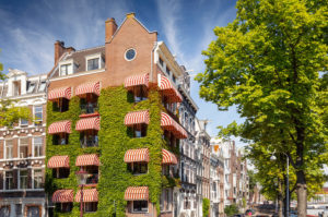 Green facade in Amsterdam, Netherlands Green facade in Amsterdam, Netherlands