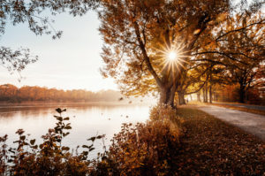 Autumn at the Maschsee in Hanover, Lower Saxony, Germany Autumn at the Maschsee in Hanover, Lower Saxony, Germany