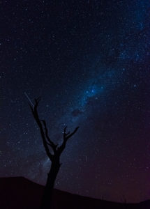 Deadvlei in Namibia: Milky Way, in the foreground a dead camel thorn tree. Long exposure Deadvlei in Namibia: Milky Way, in the foreground a dead camel thorn tree. Long exposure