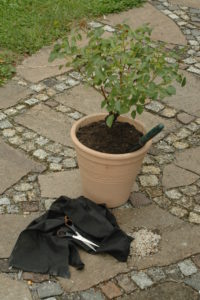 step by step instructions, plant tub free of weeds step by step instructions, plant tub free of weeds
