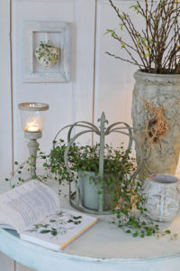 Stilllife with candle and plants, vintage Stilllife with candle and plants, vintage