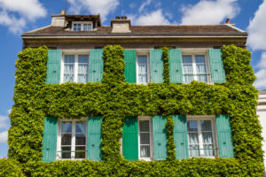 Bildagentur | mauritius images | Mit Efeu bewachsenes altes Haus in Paris