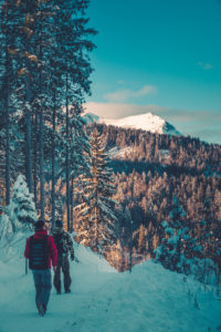 Snow-covered trail near Mittenwald, Werdenfelser Land, district Garmisch-Partenkirchen, Bavaria, Germany Snow-covered trail near Mittenwald, Werdenfelser Land, district Garmisch-Partenkirchen, Bavaria, Germany