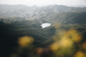Hilly landscape with blurred flowers in the foreground and a reservoir in the middle in a national park on the island of Sardinia, Italy Hilly landscape with blurred flowers in the foreground and a reservoir in the middle in a national park on the island of Sardinia, Italy