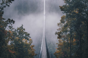 The suspension rope bridge Geierlay in the morning with fog in the Hunsrück. One person is at the end of the bridge The suspension rope bridge Geierlay in the morning with fog in the Hunsrück. One person is at the end of the bridge
