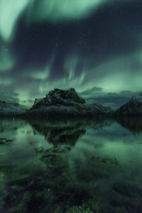 Northern lights / aurora borealis over Bergsbotn, a fjord on the island of Senja in Norway Northern lights / aurora borealis over Bergsbotn, a fjord on the island of Senja in Norway