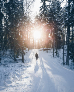 Photographer runs towards the sun in the snowy forest of Turku, Finland / Uittamo Photographer runs towards the sun in the snowy forest of Turku, Finland / Uittamo