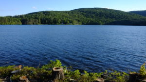 Cooper Lake, NY is the largest lake in the Catskill Mountains. Lake is protected as it supplies drinking water to the city of Kingston Cooper Lake, NY is the largest lake in the Catskill Mountains. Lake is protected as it supplies drinking water to the city of Kingston