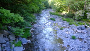 Tannery Brook which runs through Woodstock NY is a tributary to Hudson River Tannery Brook which runs through Woodstock NY is a tributary to Hudson River