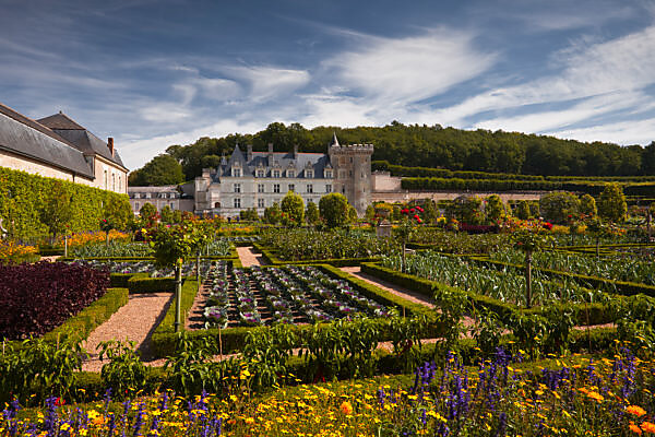 Bildagentur | mauritius images | Villandry Castle is located about 17 km  west of the city of Tours. Villandry Castle is most famous for its gardens.  The eponymous village of Villandry is