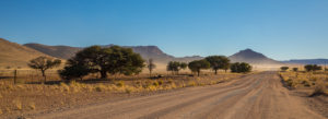 Sand road in the steppe of Namibia Sand road in the steppe of Namibia