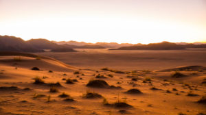 Evening mood in the desert Evening mood in the desert