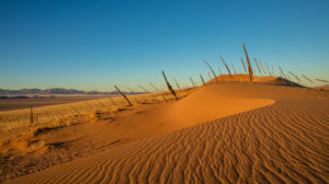 Dune landscape Dune landscape