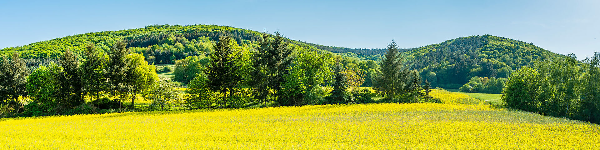 Panorama of meadows and rapeseed fields near Merxheim, Naheland, Panorama of meadows and rapeseed fields near Merxheim, Naheland,