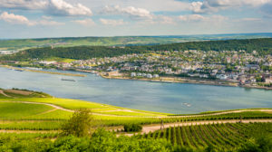 Rhine near Bingen / Bingerbrück, Rochusberg in the background Rhine near Bingen / Bingerbrück, Rochusberg in the background