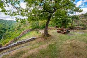 Burgruine Stahlberg bei Bacharach-Steeg, sie wurde als Gegenburg zur Burg Stahleck vom Erzbistum Köln errichtet,
eine typische Spornburg mit Halsgraben und Zugbrücke, Burgruine Stahlberg bei Bacharach-Steeg, sie wurde als Gegenburg zur Burg Stahleck vom Erzbistum Köln errichtet,
eine typische Spornburg mit Halsgraben und Zugbrücke,