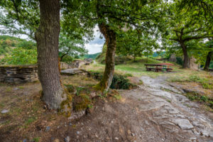 Burgruine Stahlberg bei Bacharach-Steeg, sie wurde als Gegenburg zur Burg Stahleck vom Erzbistum Köln errichtet,
eine typische Spornburg mit Halsgraben und Zugbrücke, Burgruine Stahlberg bei Bacharach-Steeg, sie wurde als Gegenburg zur Burg Stahleck vom Erzbistum Köln errichtet,
eine typische Spornburg mit Halsgraben und Zugbrücke,