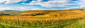 Goldener Oktober in Rheinhessen, Hügellandschaft bei Vendersheim,
hochauflösendes Panorama Goldener Oktober in Rheinhessen, Hügellandschaft bei Vendersheim,
hochauflösendes Panorama