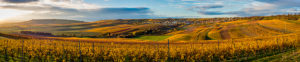 Goldener Oktober in Rheinhessen, Hügellandschaft bei Vendersheim,
hochauflösendes Panorama Goldener Oktober in Rheinhessen, Hügellandschaft bei Vendersheim,
hochauflösendes Panorama