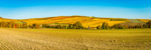 Herbststimmung in Rheinhessen, Goldener Oktober in der Hügellandschaft bei Vendersheim, Panorama Herbststimmung in Rheinhessen, Goldener Oktober in der Hügellandschaft bei Vendersheim, Panorama