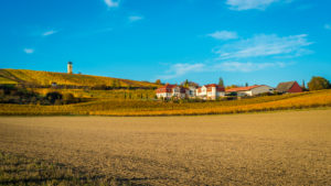 Herbststimmung in Rheinhessen,
Goldener Oktober in der Hügellandschaft bei Vendersheim, Herbststimmung in Rheinhessen,
Goldener Oktober in der Hügellandschaft bei Vendersheim,