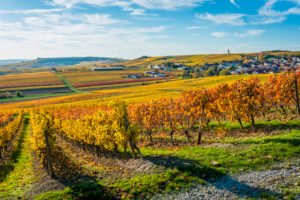 Herbststimmung in Rheinhessen,
Goldener Oktober in der Hügellandschaft bei Vendersheim, Herbststimmung in Rheinhessen,
Goldener Oktober in der Hügellandschaft bei Vendersheim,