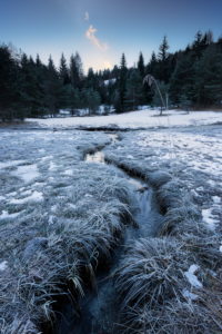 Winter, Bachlauf, Wald, Tannen, Reif, Eis, Schnee, Kälte, Winter, Bachlauf, Wald, Tannen, Reif, Eis, Schnee, Kälte,