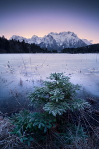 Berge, Alpen, Karwendel, See, gefroren, Ufer, Tanne, Reif, kalt, Mond, Himmel, Berge, Alpen, Karwendel, See, gefroren, Ufer, Tanne, Reif, kalt, Mond, Himmel,