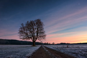Weihnachten, Dämmerung, Sterne, Baum, Weg, Farben, Sonnenaufgang, Winter, Kälte, Reif Weihnachten, Dämmerung, Sterne, Baum, Weg, Farben, Sonnenaufgang, Winter, Kälte, Reif
