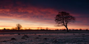 Dezember, Morgen, Gegenlicht, Weg, Baum, Himmel, Stimmung, Reif, Winter Dezember, Morgen, Gegenlicht, Weg, Baum, Himmel, Stimmung, Reif, Winter