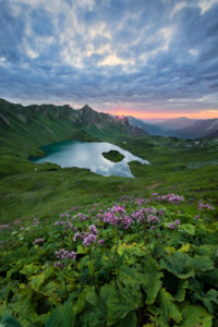 Germany, Bavaria, Schrecksee, lake, Alps, mountains, sun, back light, flowers, meadow, green, lake, 30, seconds, light, water, mood, mystical, magical, view, paradise, panorama, Germany, Bavaria, Schrecksee, lake, Alps, mountains, sun, back light, flowers, meadow, green, lake, 30, seconds, light, water, mood, mystical, magical, view, paradise, panorama,