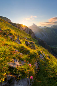 Austria, Karwendel, Tyrol, Sonjoch, Alps, mountain, mountains, sunrise, star, back light, rock, meadow, flowers, mood, river, valley, Ahornboden, panorama, clouds, light, scenery, summit, picturesque Austria, Karwendel, Tyrol, Sonjoch, Alps, mountain, mountains, sunrise, star, back light, rock, meadow, flowers, mood, river, valley, Ahornboden, panorama, clouds, light, scenery, summit, picturesque
