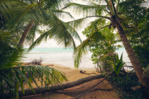 View from the palm beach to the sea, pirate cave on the Caribbean island Puerto Rico