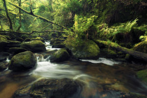 Torc River in Killarney National Park, Kerry, Ireland