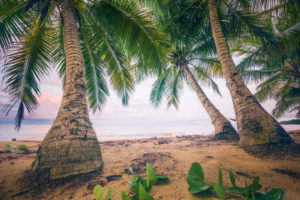 Beach scene in retro style on the Caribbean island Puerto Rico